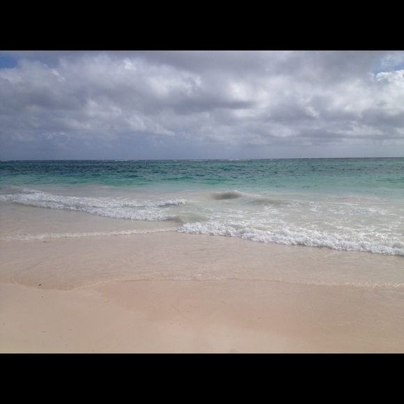 Meet your Posher, Edna - Picture 1 of 1